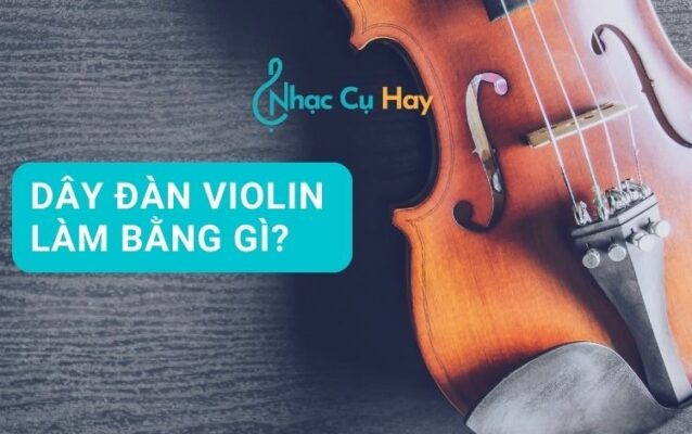 Dây đàn violin làm bằng gì?